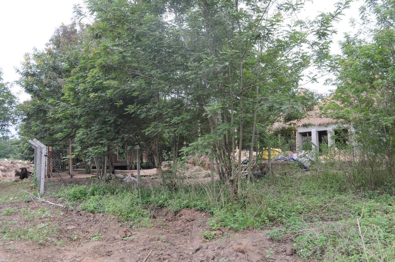 Irungu Forest Safari Lodge Katunguru Exteriör bild