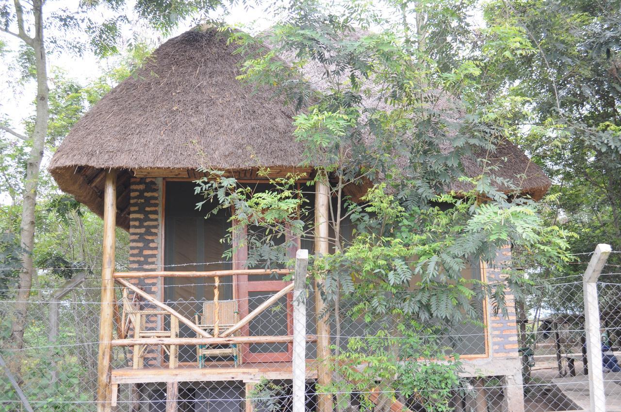 Irungu Forest Safari Lodge Katunguru Exteriör bild