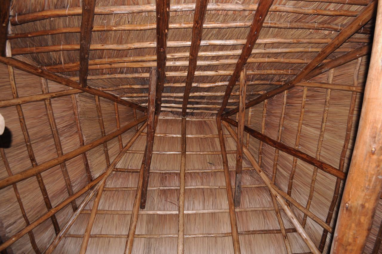 Irungu Forest Safari Lodge Katunguru Exteriör bild