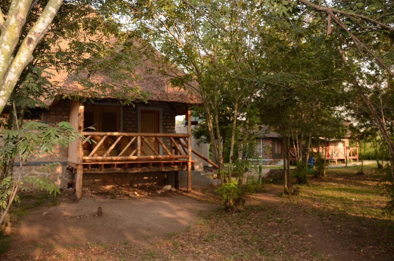 Irungu Forest Safari Lodge Katunguru Exteriör bild