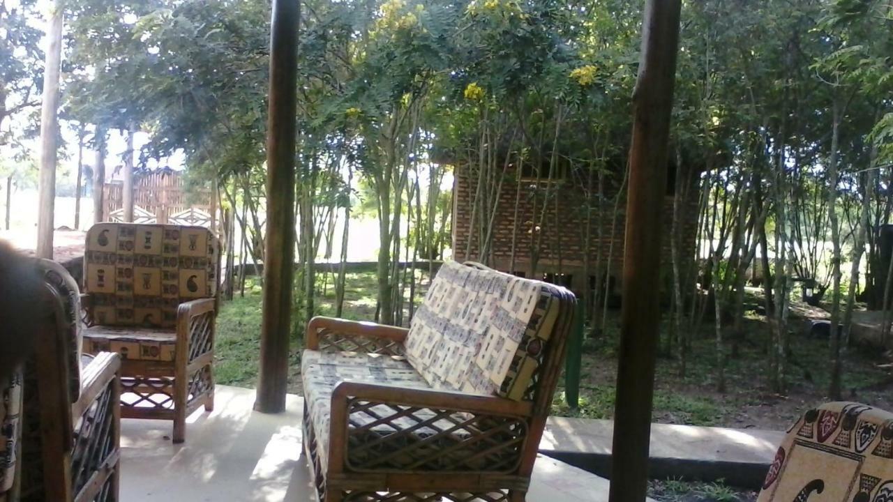 Irungu Forest Safari Lodge Katunguru Exteriör bild
