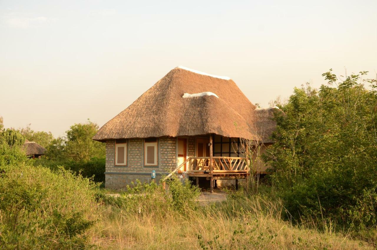 Irungu Forest Safari Lodge Katunguru Exteriör bild