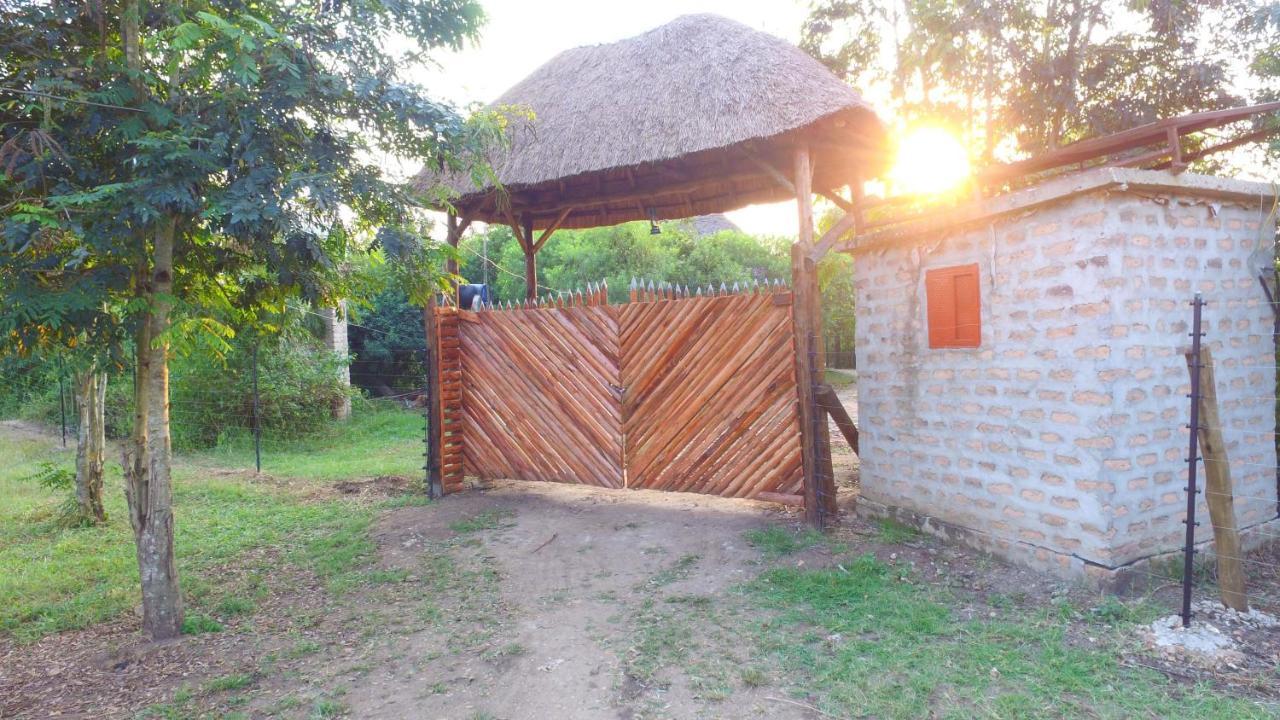 Irungu Forest Safari Lodge Katunguru Exteriör bild