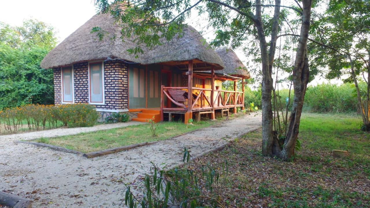 Irungu Forest Safari Lodge Katunguru Exteriör bild